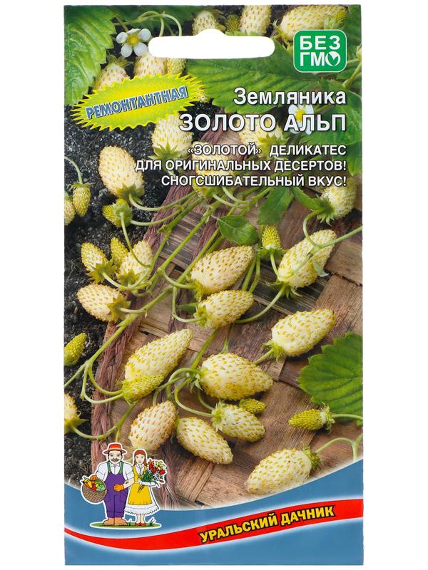 Семена Земляника 