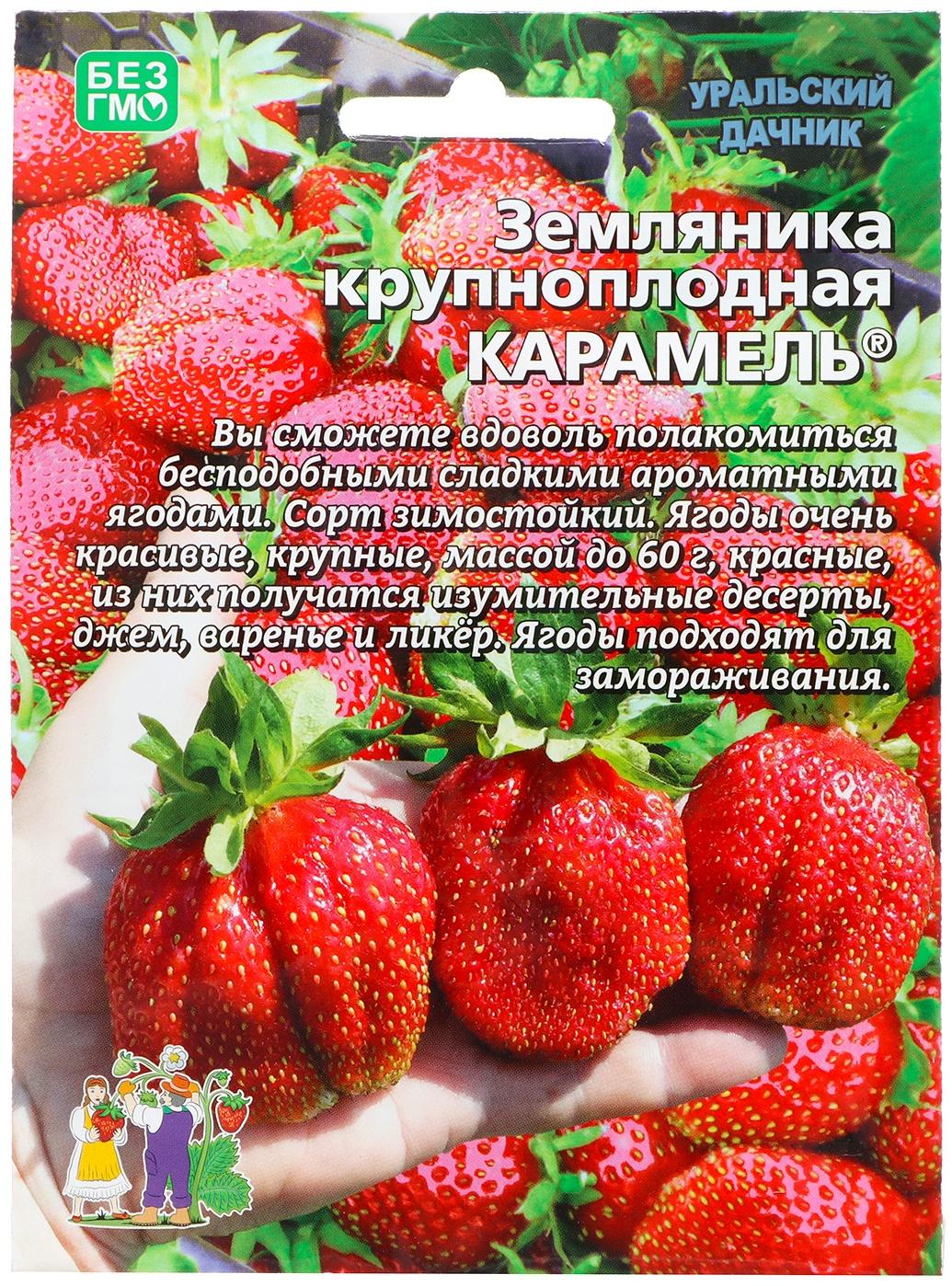 Семена Земляника 