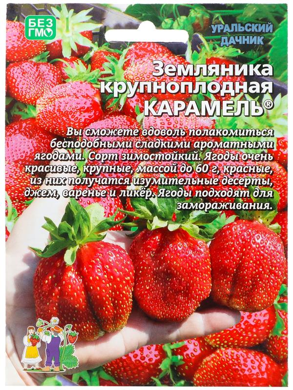 Семена Земляника 