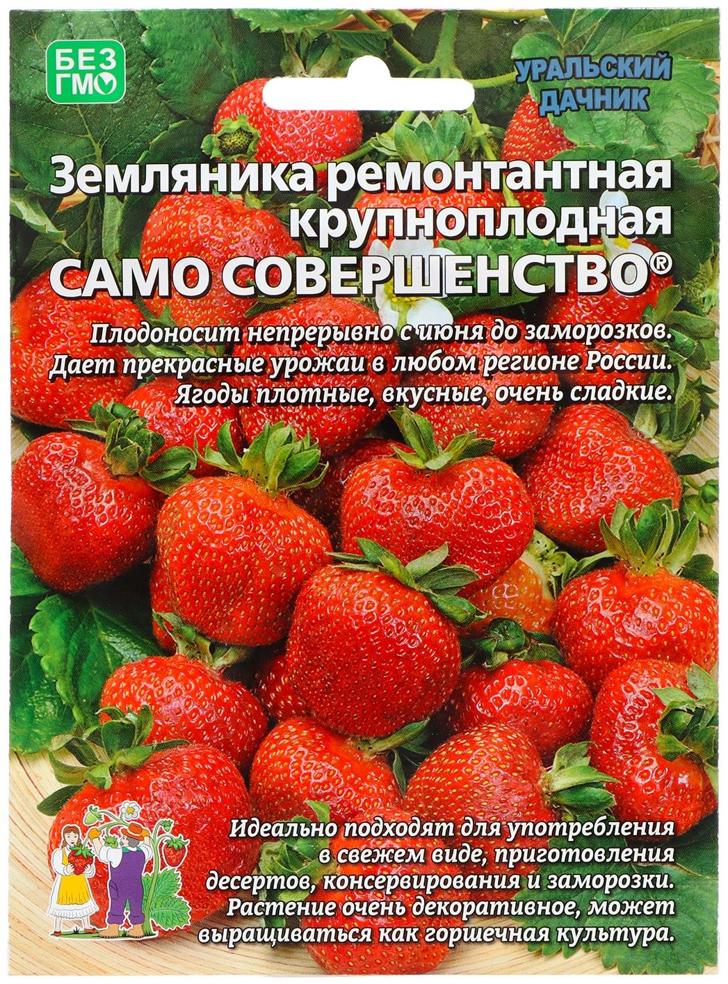 Семена Земляника 