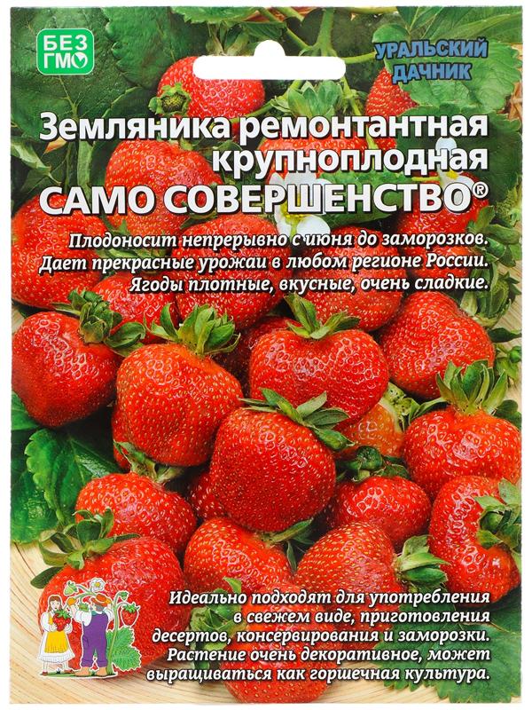 Семена Земляника 