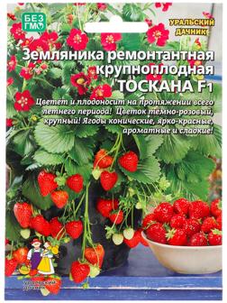 Семена Земляника 