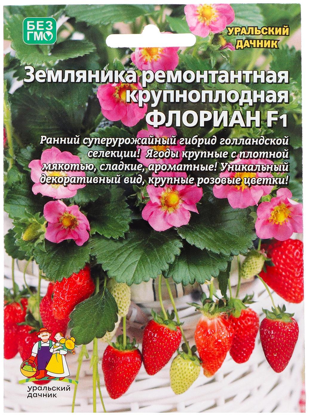 Семена Земляника 