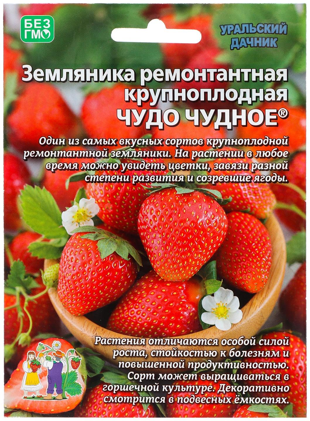 Семена Земляника 