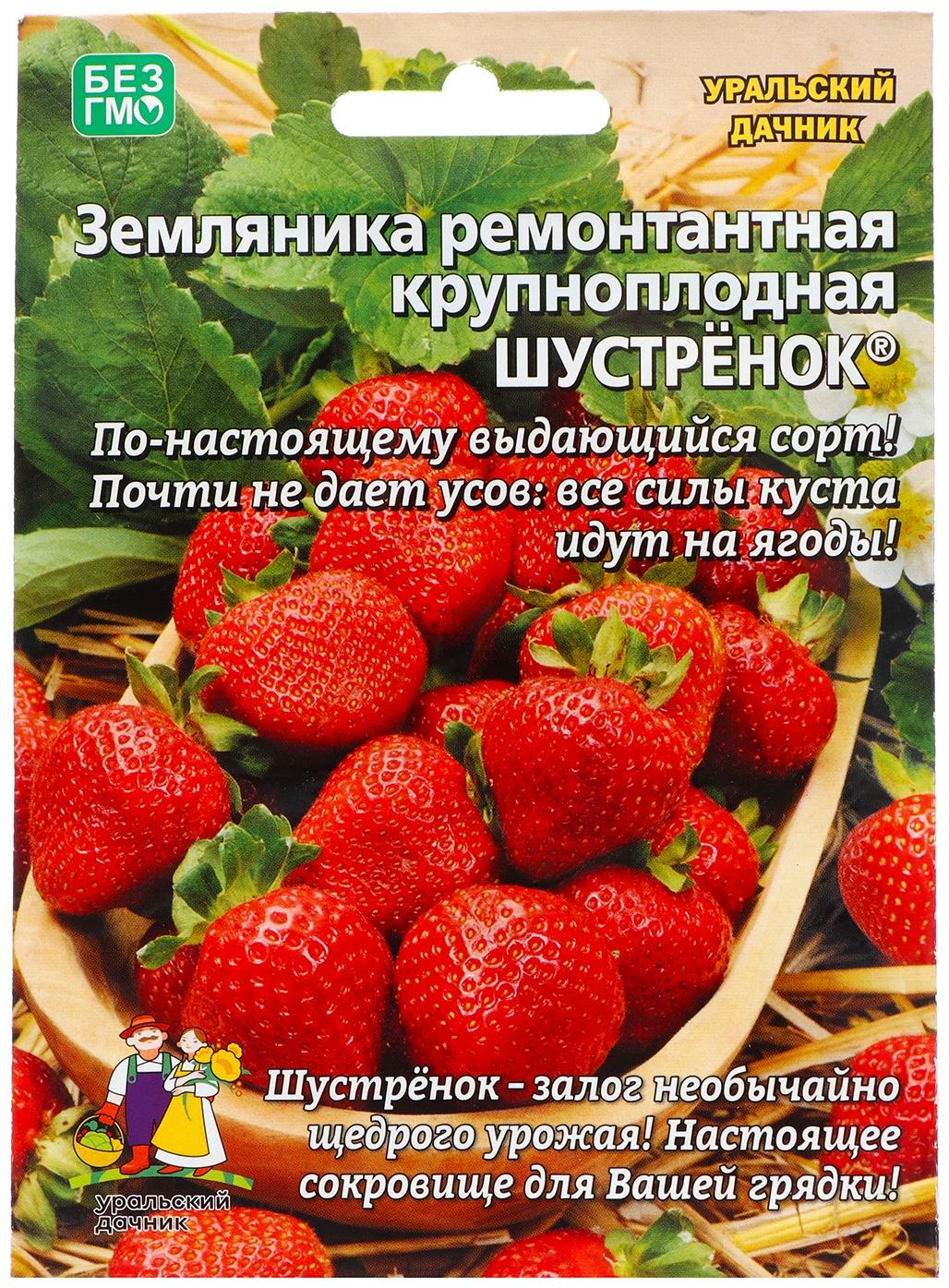 Семена Земляника 