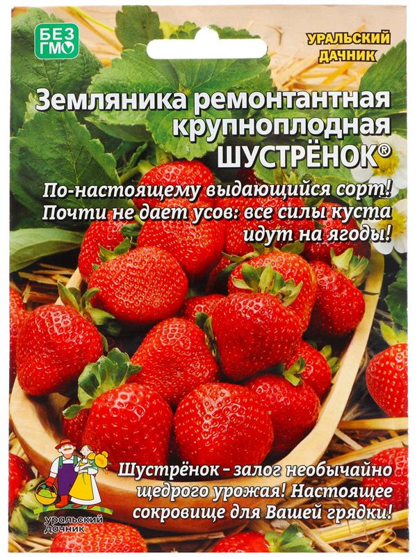 Семена Земляника 