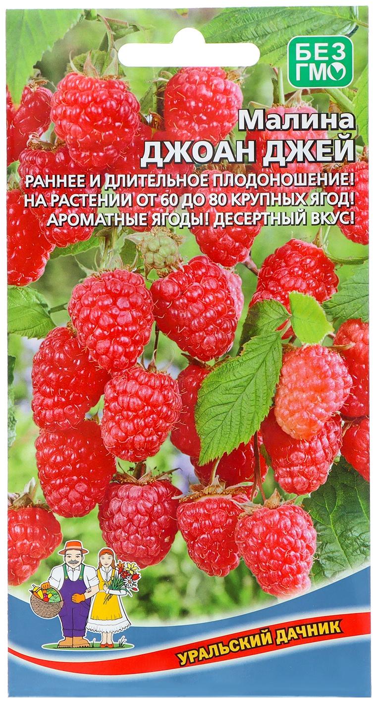 Семена Малина 