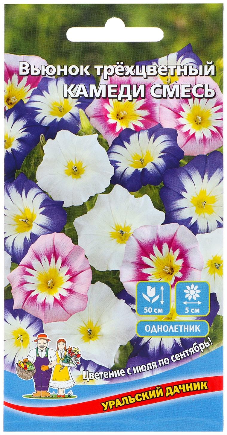 Семена Цветов Вьюнок трехцветный 