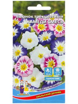 Семена Цветов Вьюнок трехцветный 