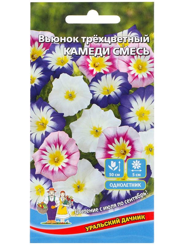 Семена Цветов Вьюнок трехцветный 