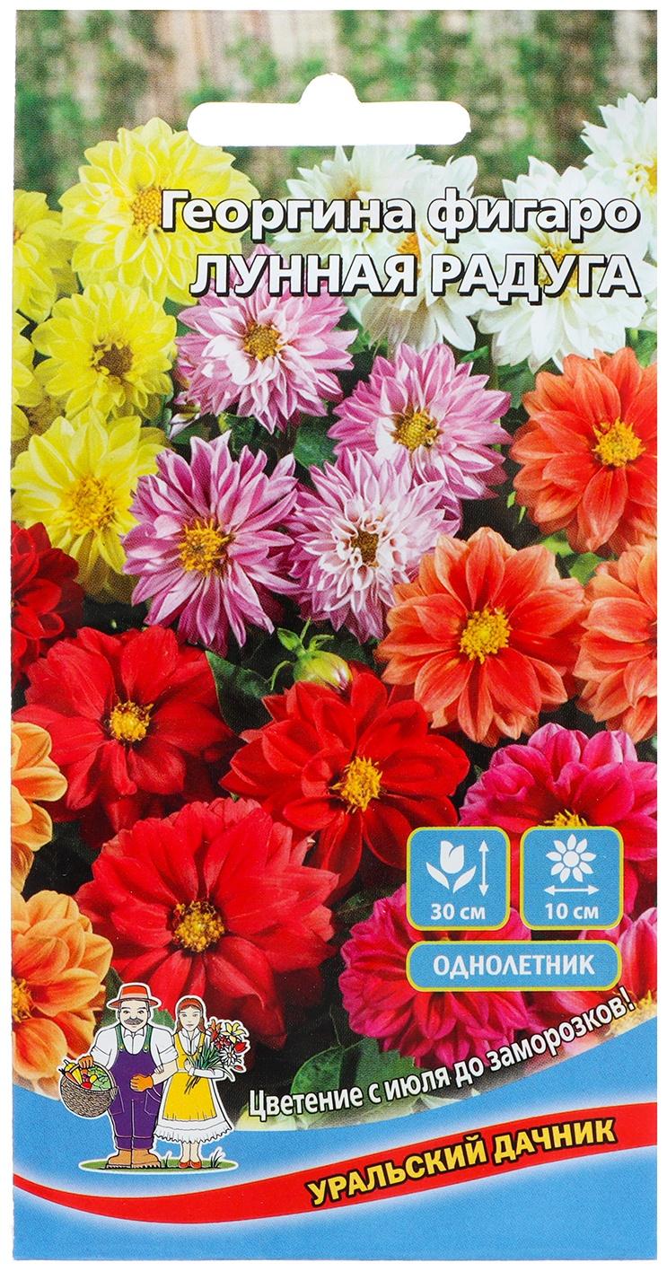 Семена Цветов Георгина фигаро 