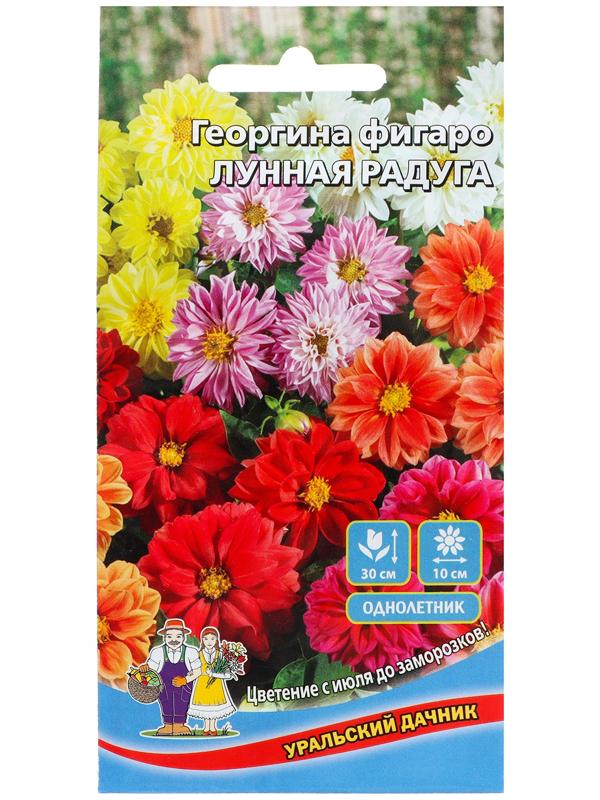 Семена Цветов Георгина фигаро 