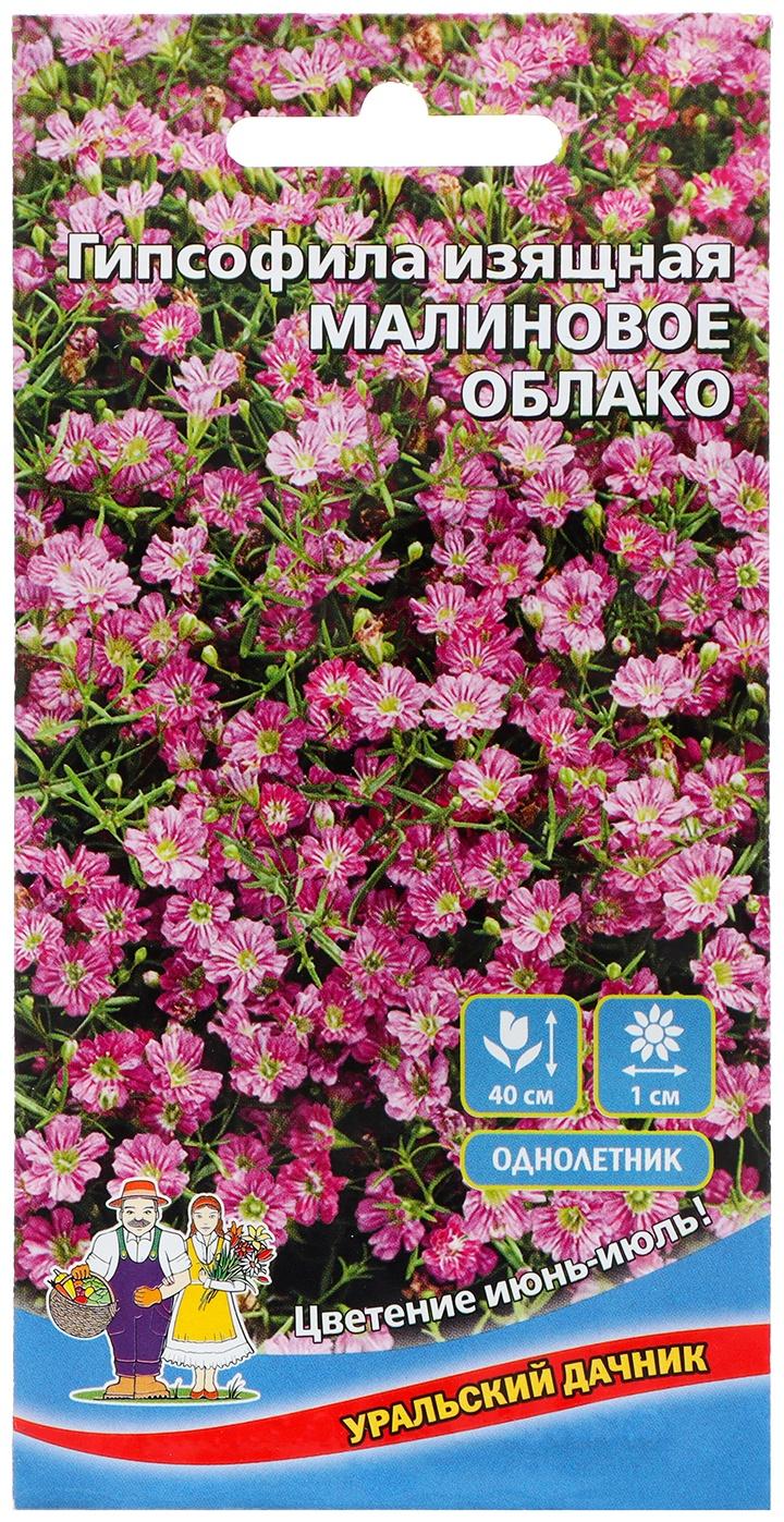 Семена Цветов Гипсофила изящная 