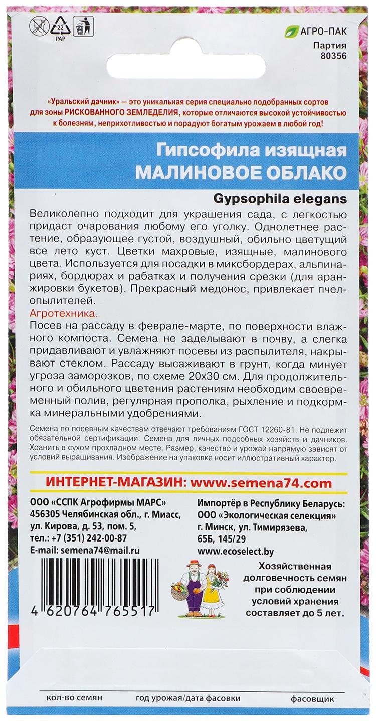 Семена Цветов Гипсофила изящная 