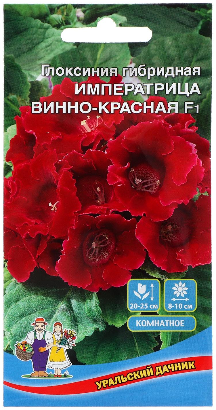 Семена Цветов Глоксиния гибридая 