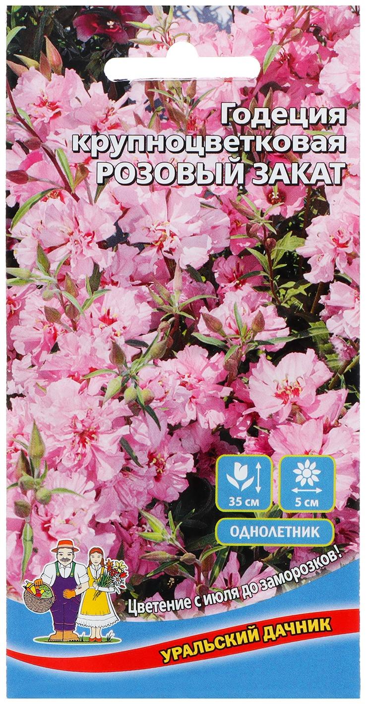 Семена Цветов Годеция крупноцветковая 