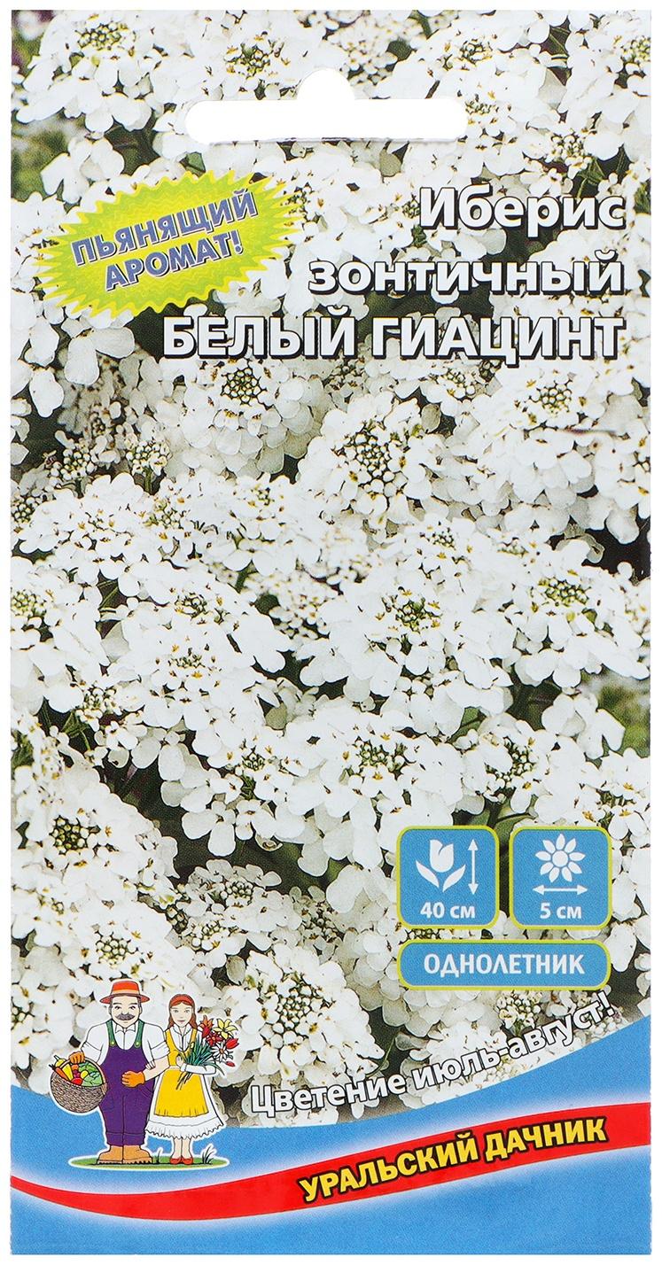 Семена Цветов Иберис зонтичный 