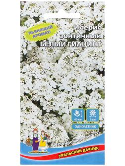 Семена Цветов Иберис зонтичный 