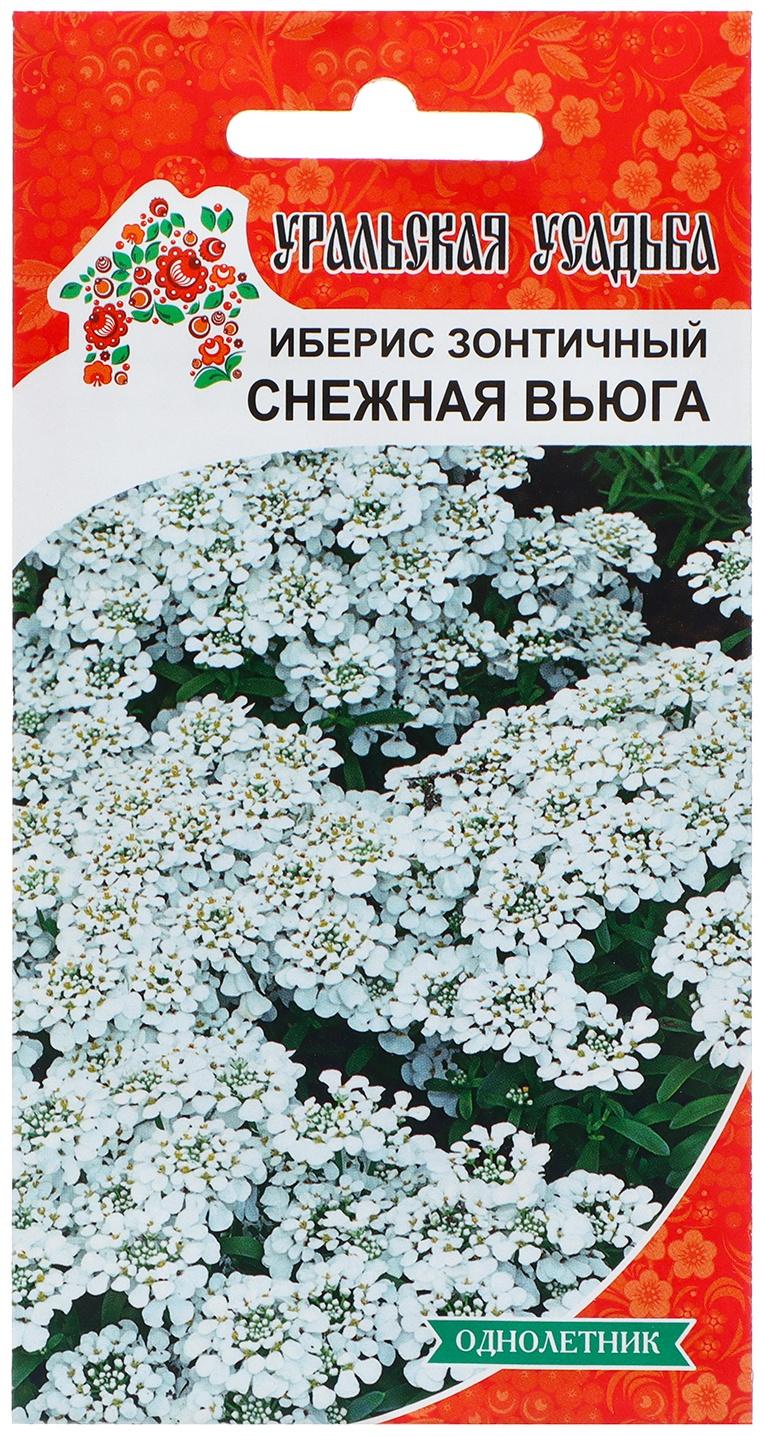 Семена Цветов Иберис зонтичный 