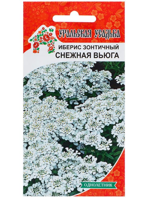 Семена Цветов Иберис зонтичный 