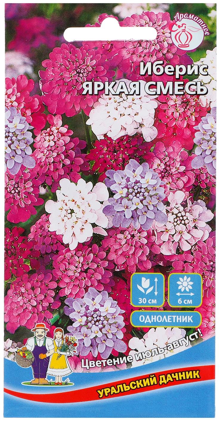 Семена Цветов Иберис 