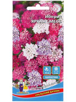 Семена Цветов Иберис 