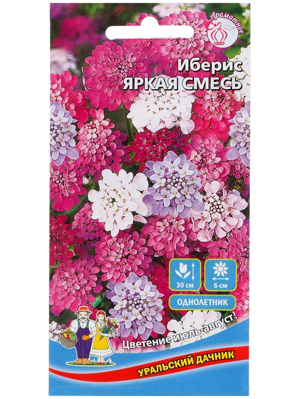 Семена Цветов Иберис 