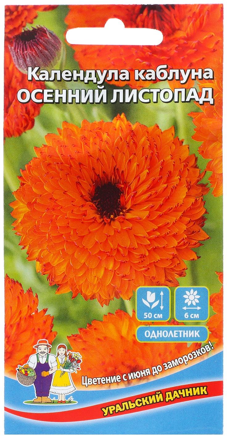 Семена Цветов Календула каблуна 