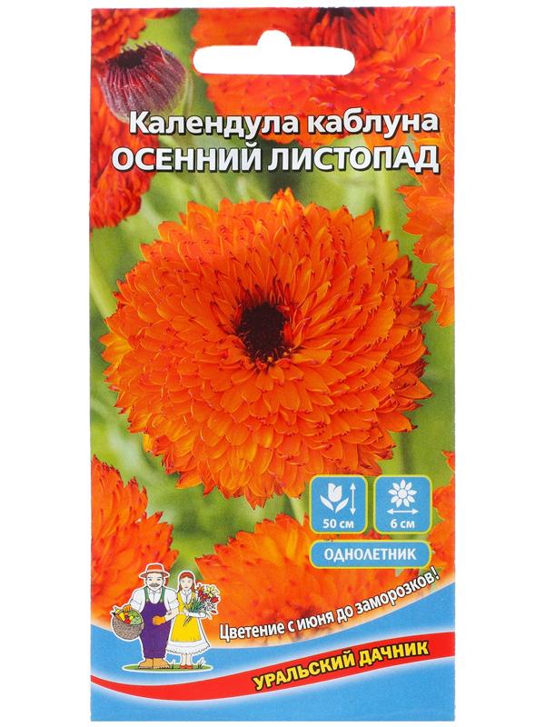 Семена Цветов Календула каблуна 