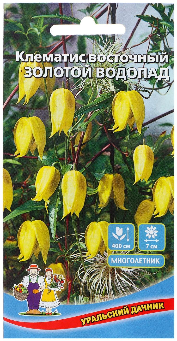 Семена Цветов Клематис восточный 