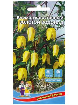 Семена Цветов Клематис восточный 