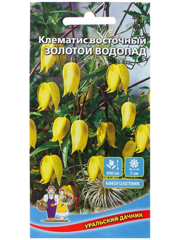 Семена Цветов Клематис восточный 