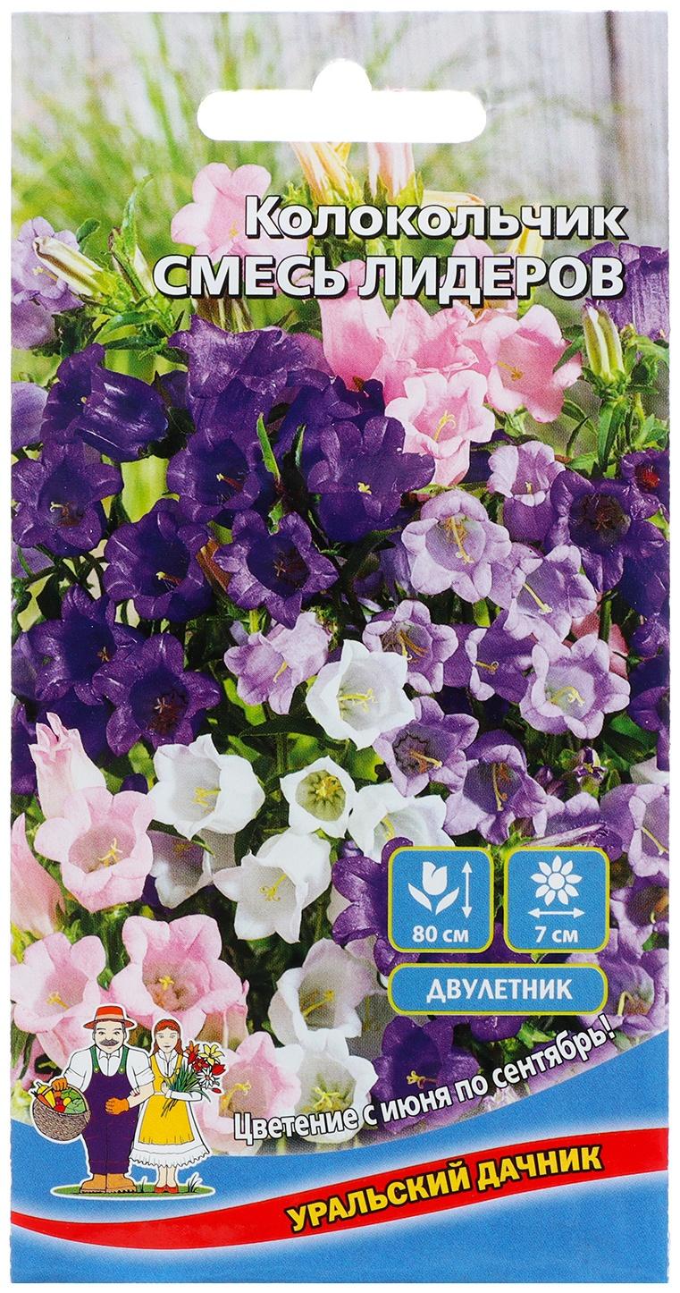 Семена Цветов Колокольчик