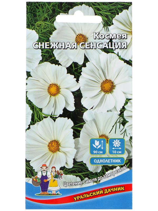 Семена Цветов Космея 