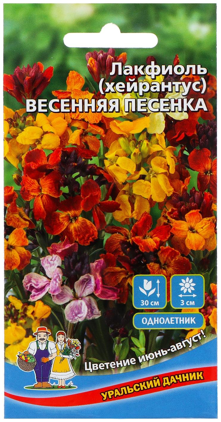 Семена Цветов Лакфиоль 