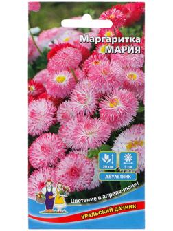 Семена Цветов Маргаритка 