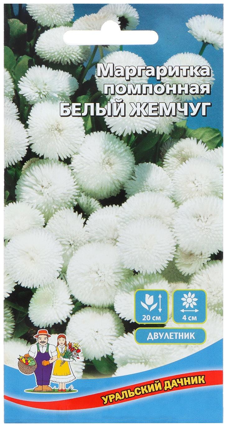 Семена Цветов Маргаритка помпонная 