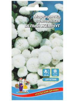 Семена Цветов Маргаритка помпонная 