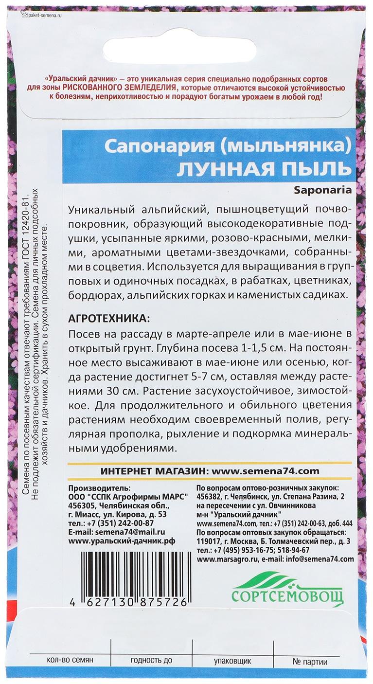 Семена Цветов Сапонария  