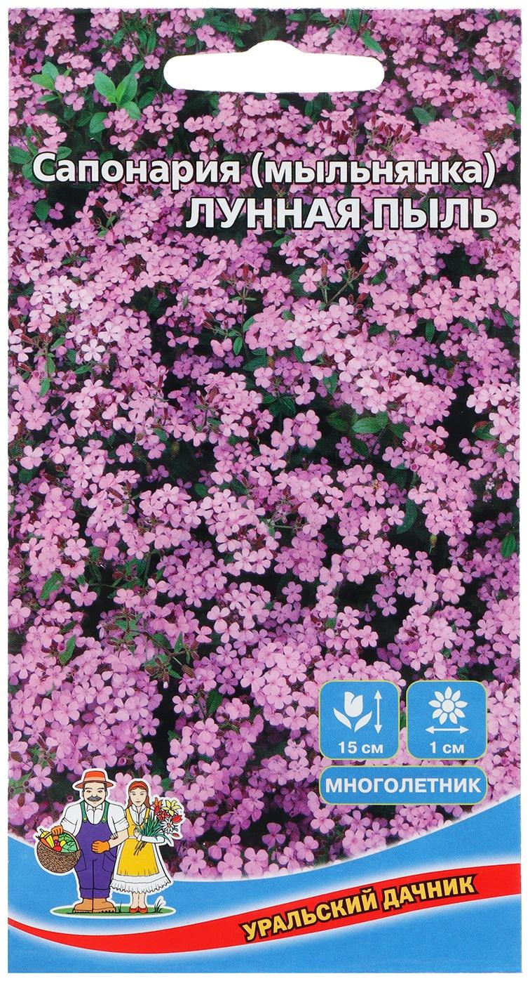 Семена Цветов Сапонария  