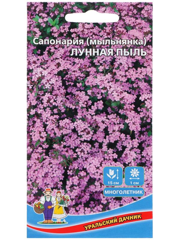 Семена Цветов Сапонария  