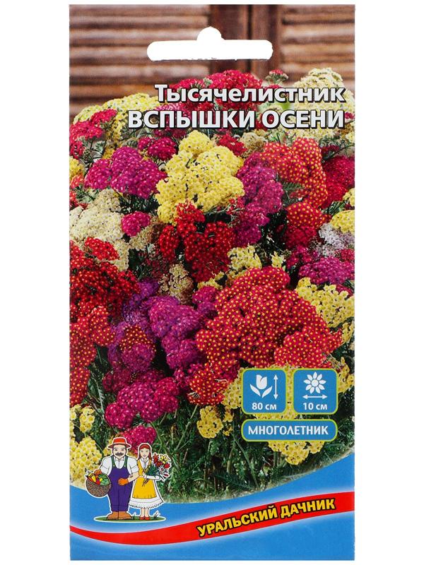 Семена Цветов Тысячилистник 