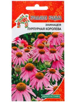 Семена Цветов Эхинацея 