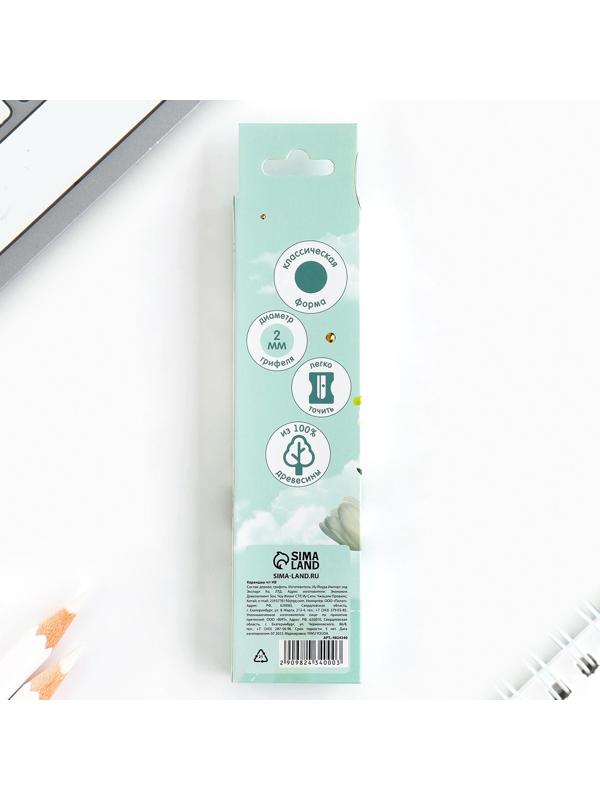 Карандаш чернографитный без ластика «Ты прекрасна»