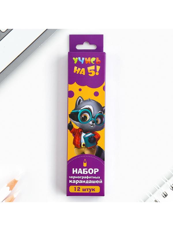 Карандаш чернографитный без ластика «Учись на 5+»