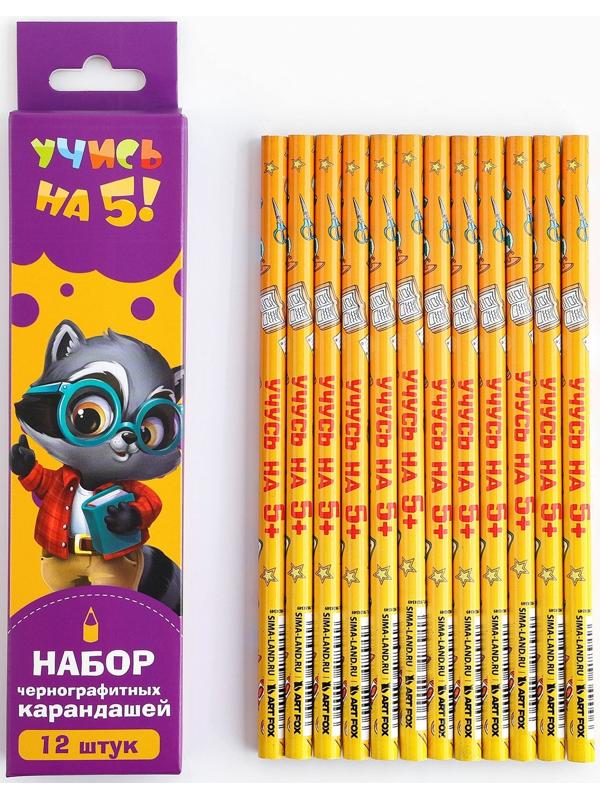 Карандаш чернографитный без ластика «Учись на 5+»