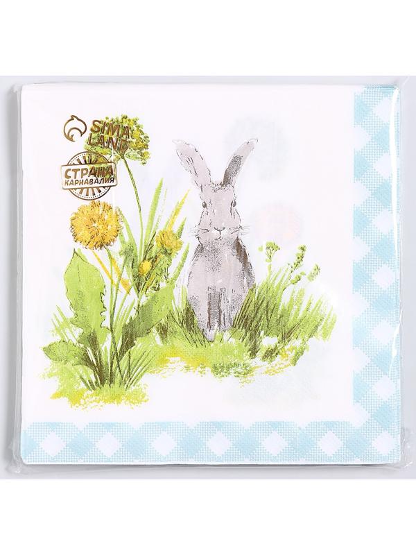 Салфетки бумажные «Серый кролик», 33х33 см, набор 20 шт