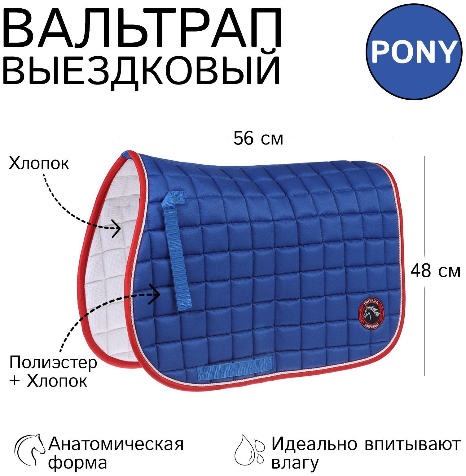 Вальтрап пони, василек