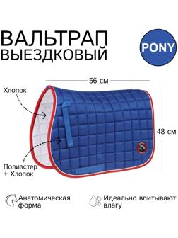 Вальтрап пони, василек