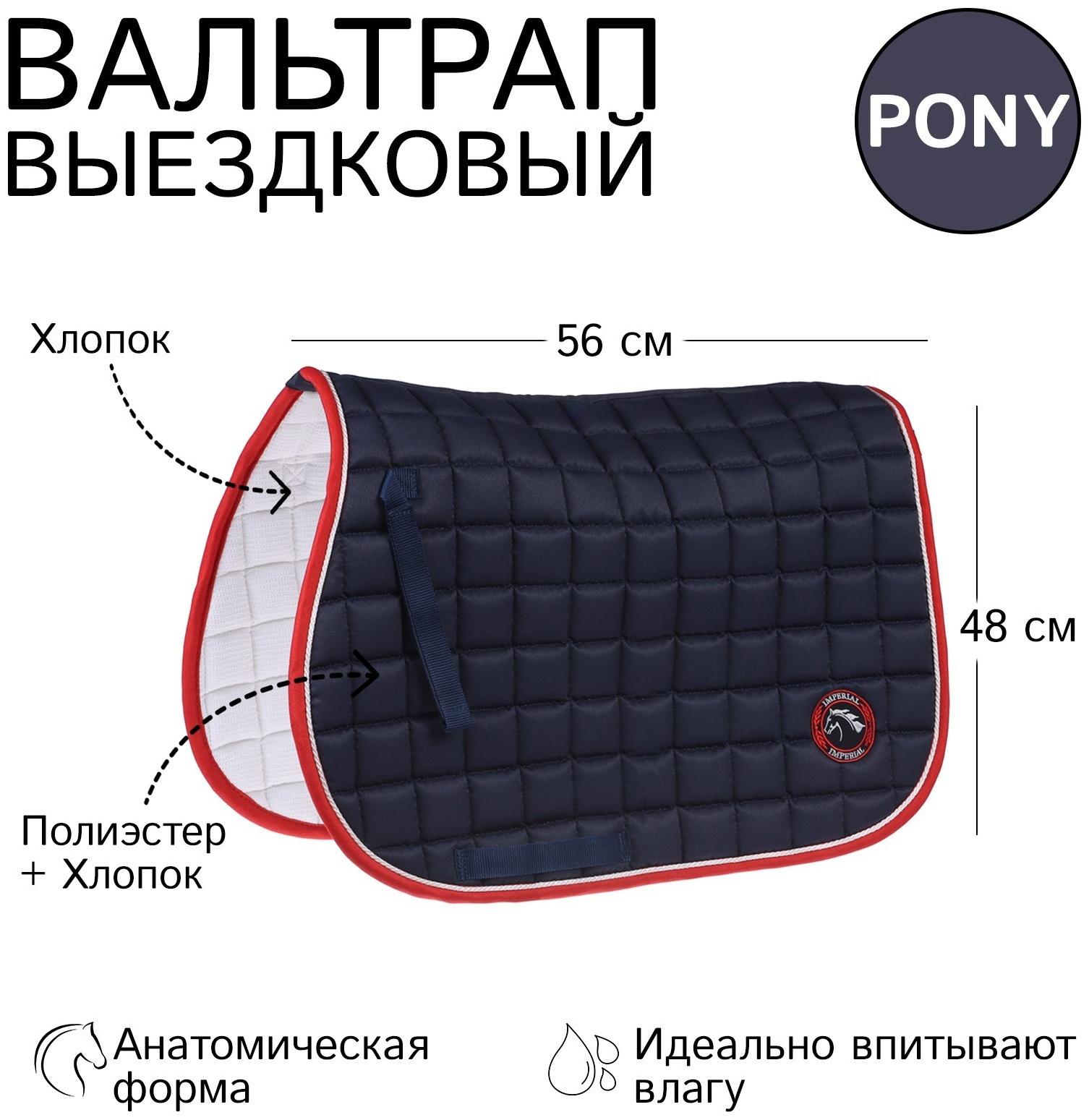 Вальтрап пони, тёмно-синий